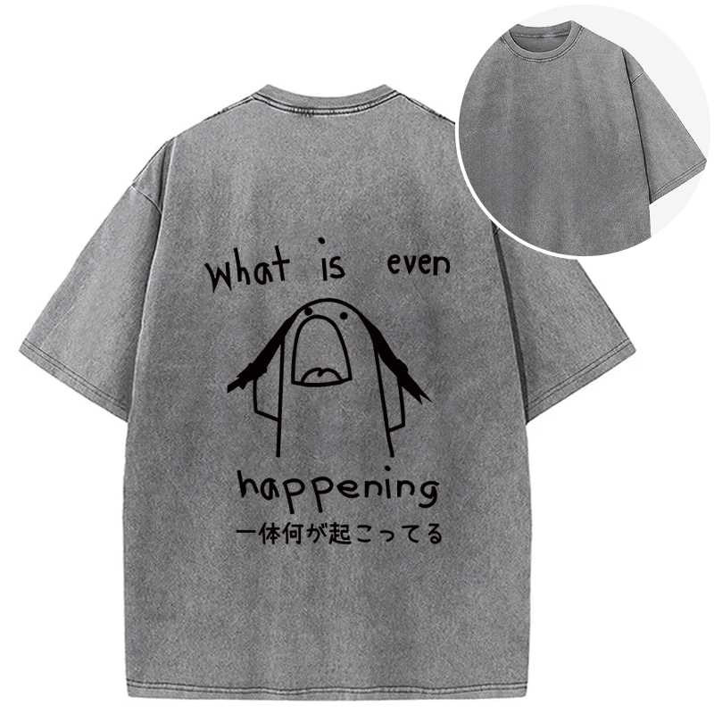 Tokyocanvas What Is Even Happening Back Washed T-Shirt