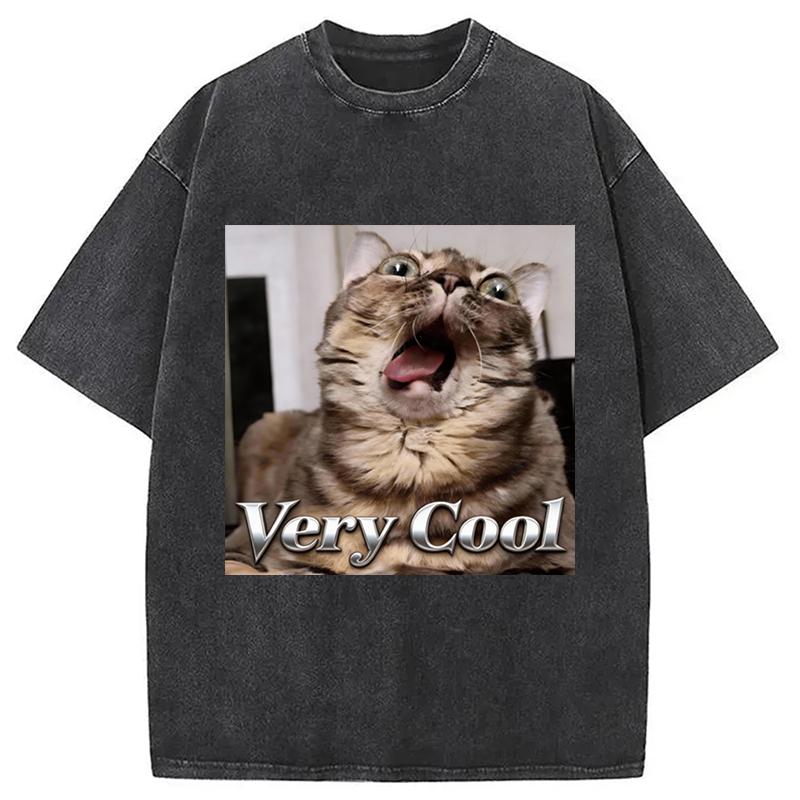 Tokyocanvas Very Cool Funny Cat Meme Washed T-Shirt