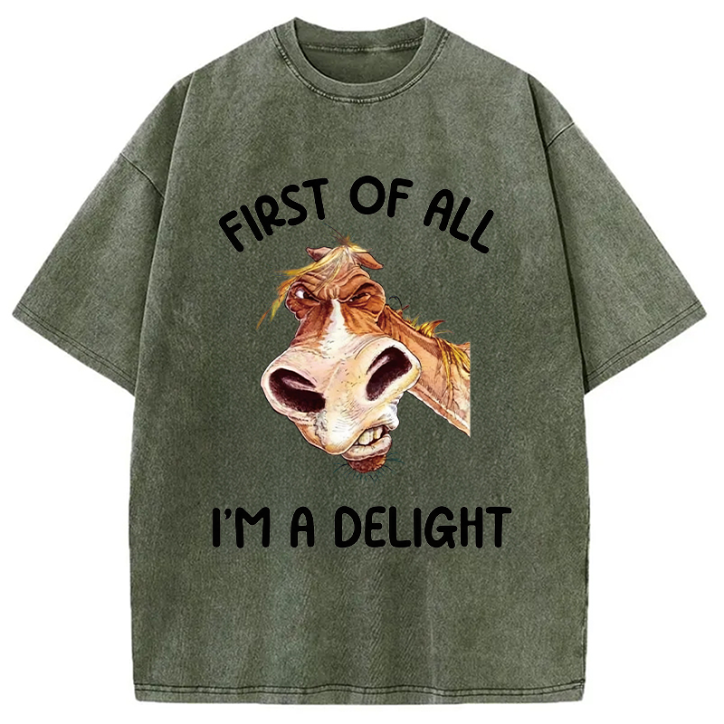 Tokyocanvas First of All I'm a Delight Horse Washed T-Shirt