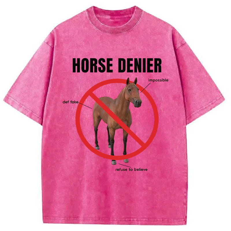 Tokyocanvas Horse Denier Analysis Washed T-Shirt