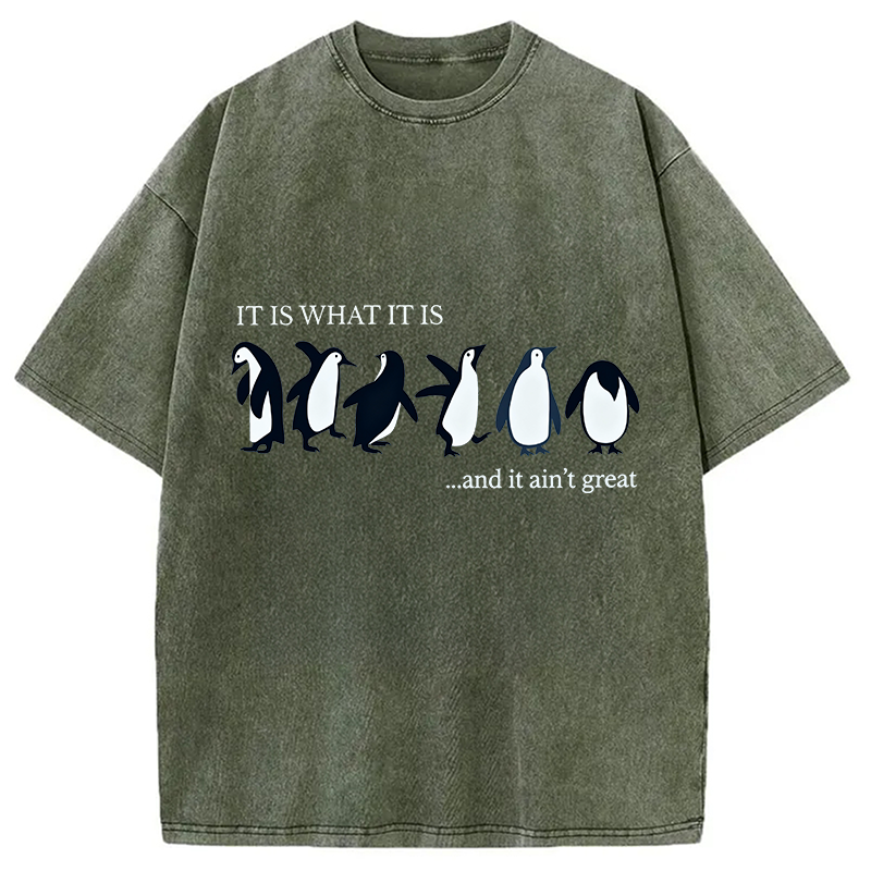 Tokyocanvas Funny Penguin Washed T-Shirt