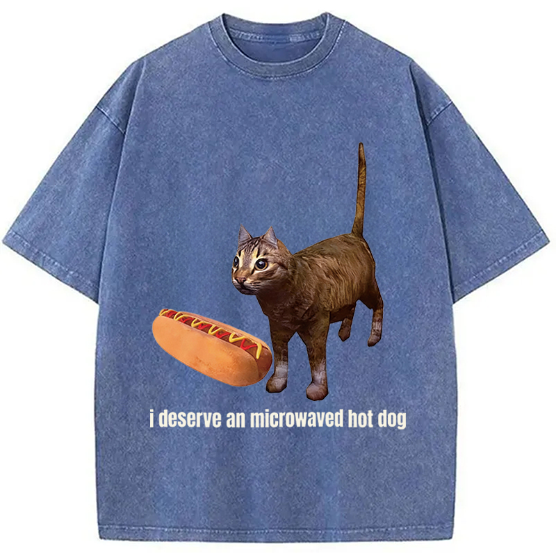 Tokyocanvas Cat Hotdog Meme Washed T-Shirt
