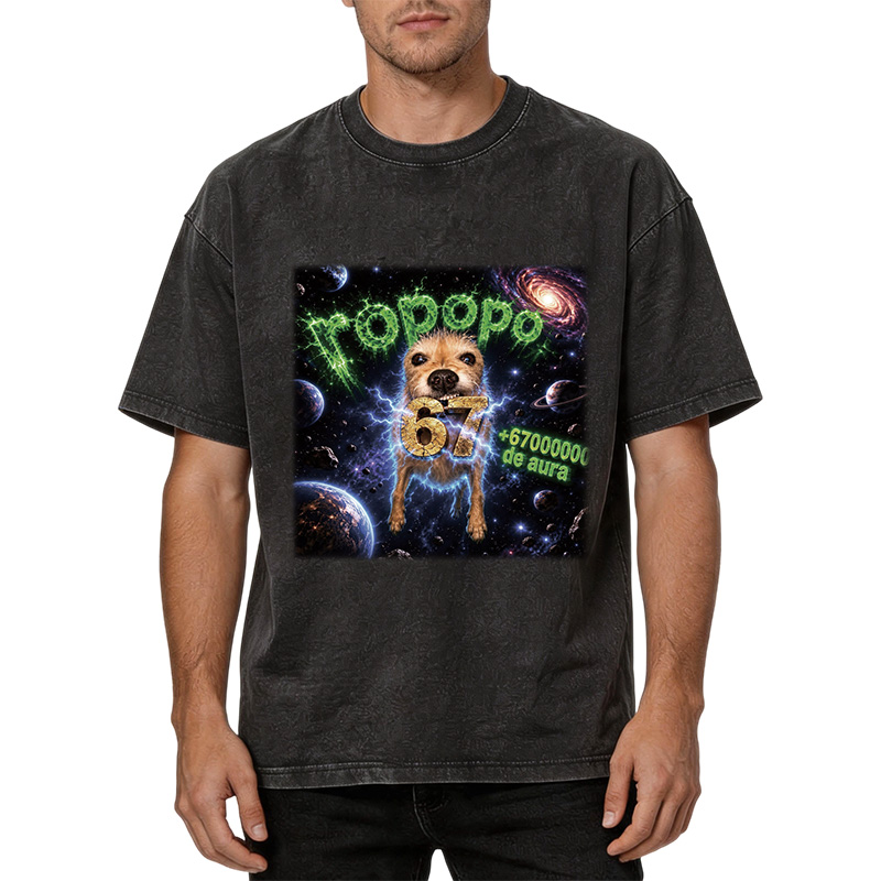 Tokyocanvas Ropopo Aura Dog Washed T-Shirt