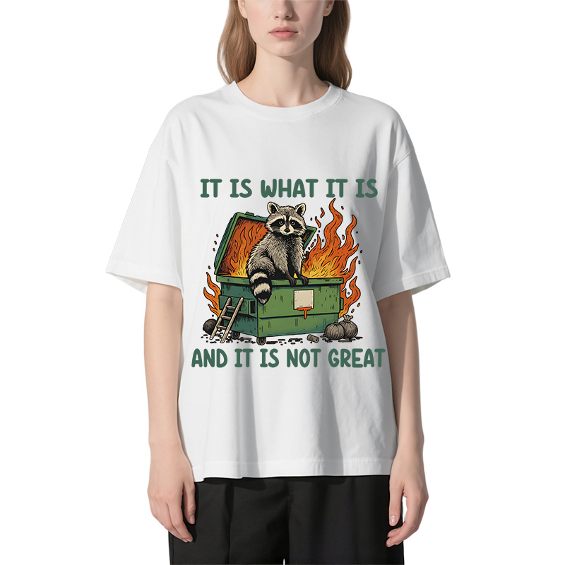 Tokyocanvas It Is What It Is Dumpster Fire Funny Raccoon Meme Classic T-Shirt