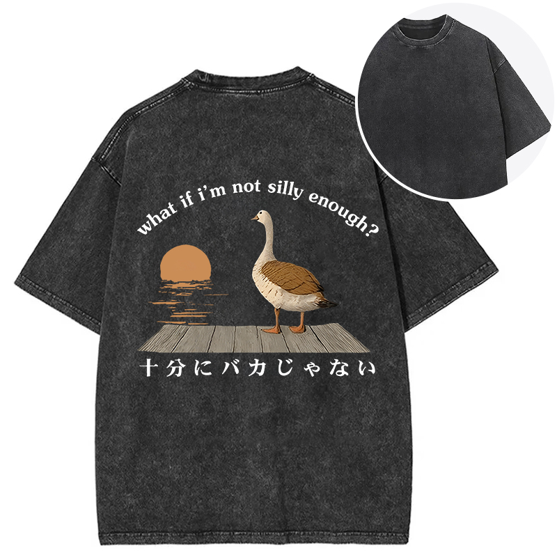 Tokyocanvas What If I'm Not Silly Enough Back Washed T-Shirt