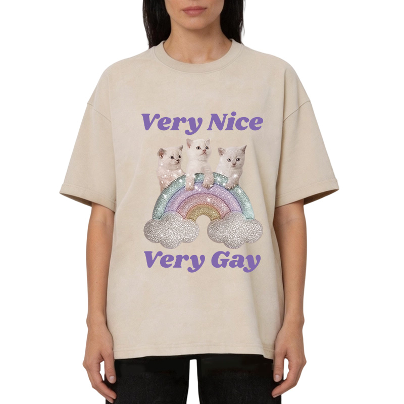 Tokyocanvas Very Nice Very Gay Washed T-Shirt