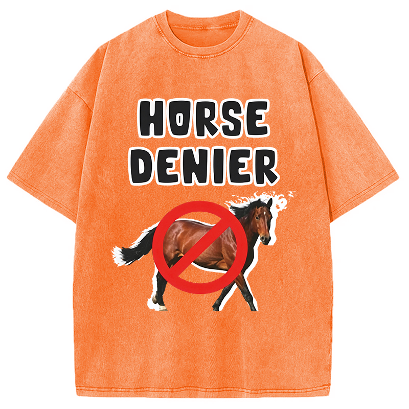 Tokyocanvas Horse Denier Funny Meme Washed T-Shirt