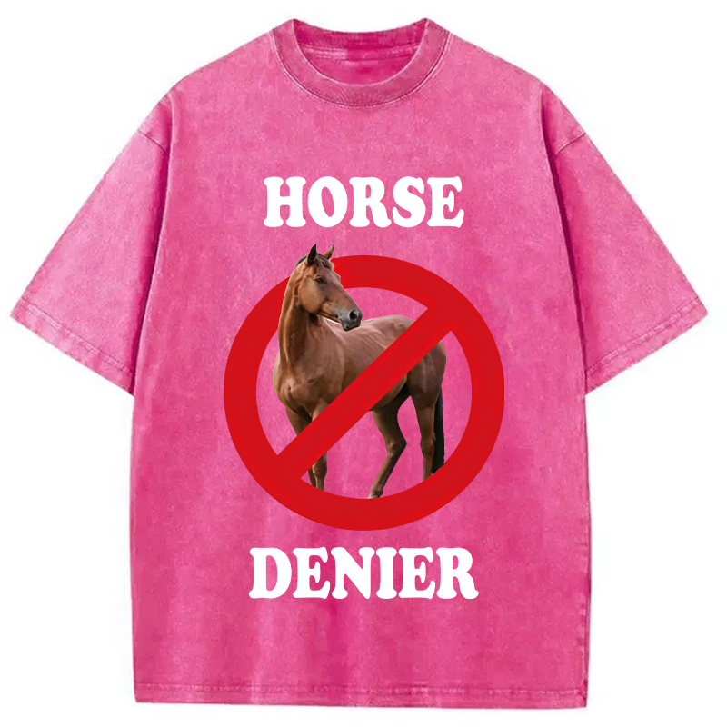 Tokyocanvas Horse Denier Meme Washed T-Shirt