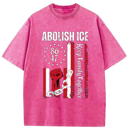 Tokyocanvas Abolish Ice Meme Washed T-Shirt
