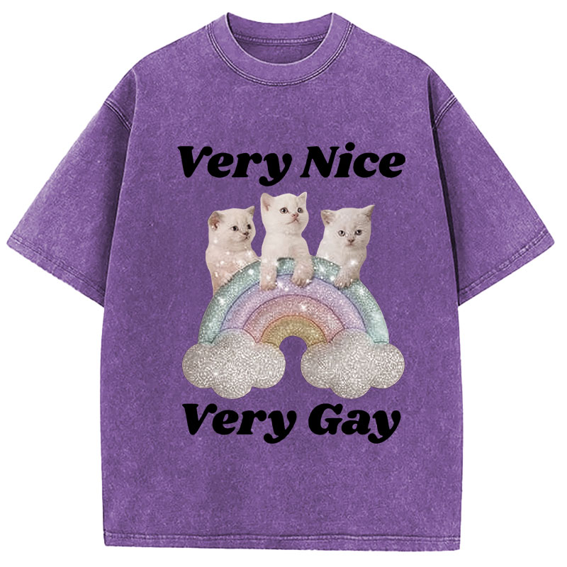 Tokyocanvas Very Nice Very Gay Washed T-Shirt