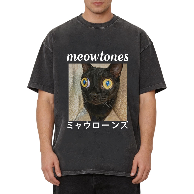 Tokyocanvas Meowlones Washed T-Shirt