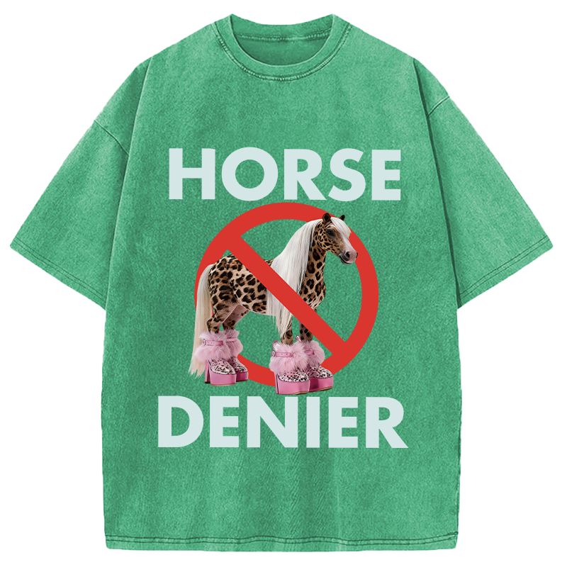 Tokyocanvas Funny Leopard Diva Horse Denier Washed T-Shirt