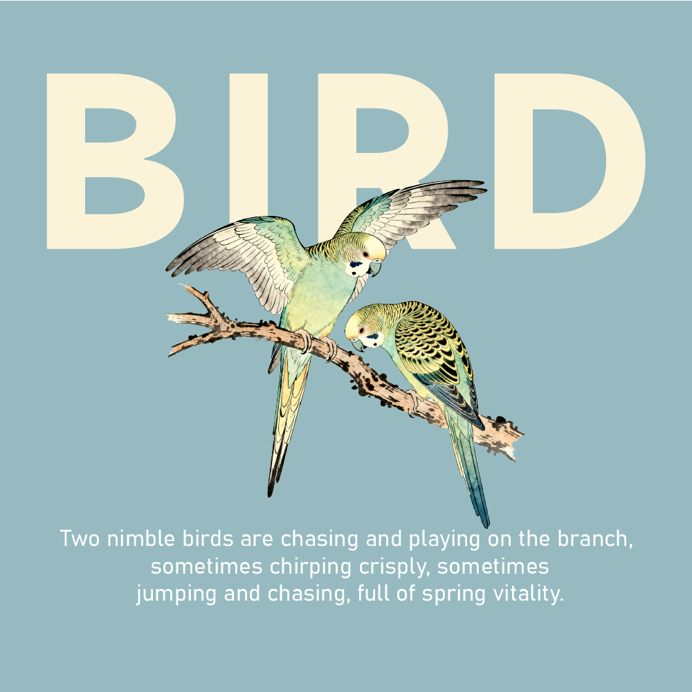 Bird