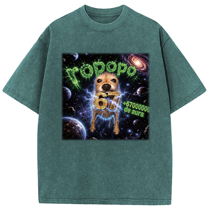 Tokyocanvas Ropopo Aura Dog Washed T-Shirt