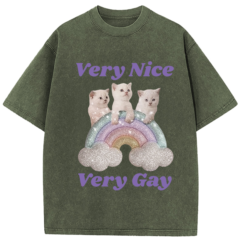 Tokyocanvas Very Nice Very Gay Washed T-Shirt