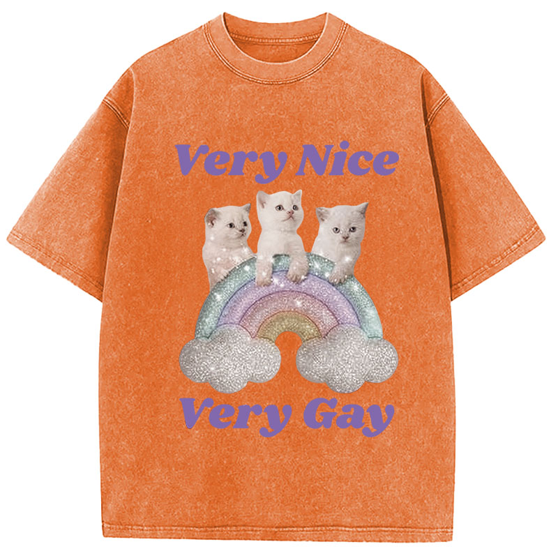 Tokyocanvas Very Nice Very Gay Washed T-Shirt