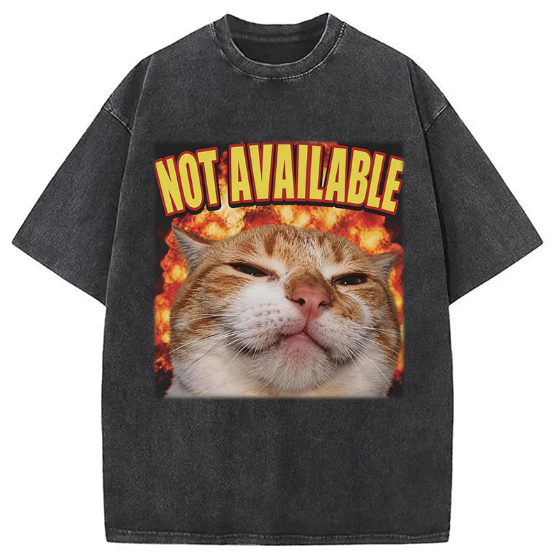 Tokyocanvas Not Available Cat Meme Washed T-Shirt