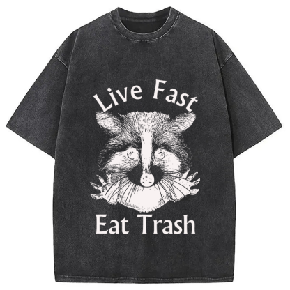 Tokyocanvas Trash Panda Raccoon Washed T-Shirt
