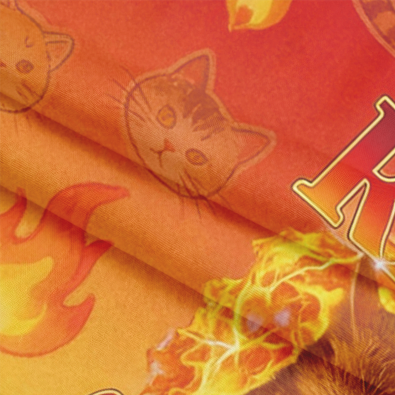 Tokyocanvas Rage Consumes Me Edgy Funny Cat Meme Graphic Long-sleeve T-Shirt