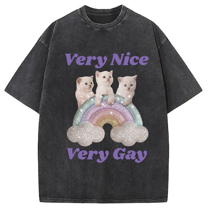 Tokyocanvas Very Nice Very Gay Washed T-Shirt