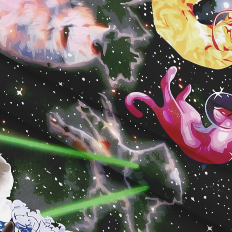 Tokyocanvas Fun Cat Long Sleeve Graphic Print T-Shirt