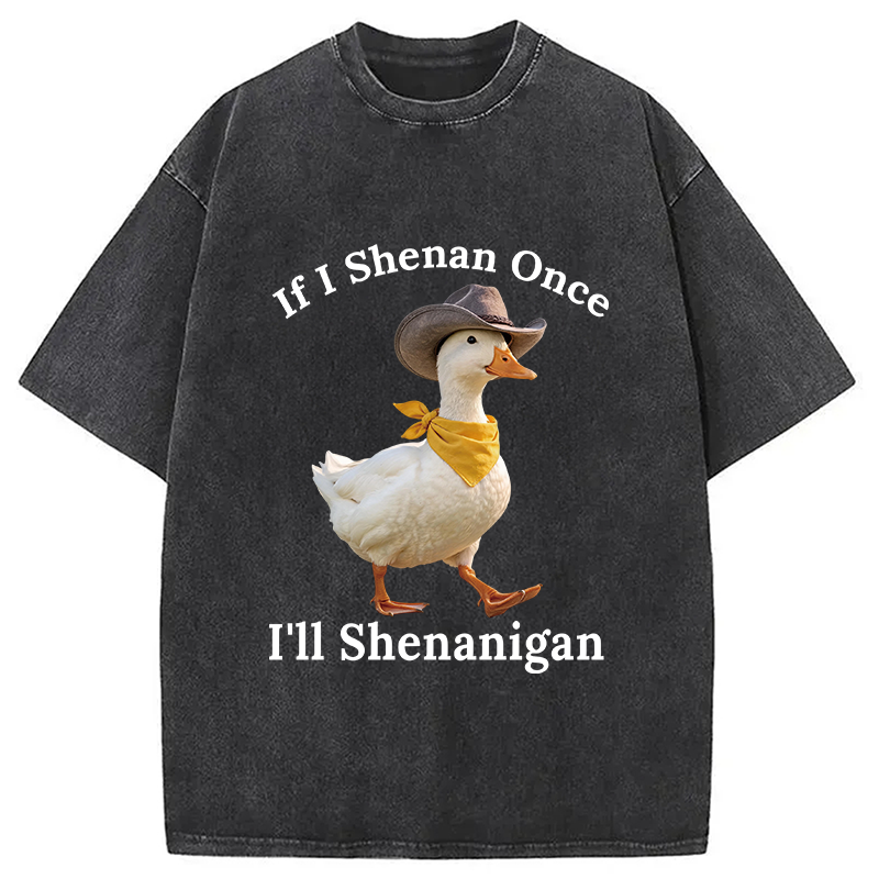 Tokyocanvas If I Shenan Once Funny Goose Washed T-Shirt
