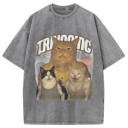 Tokyocanvas Muscle Cats Washed T-Shirt