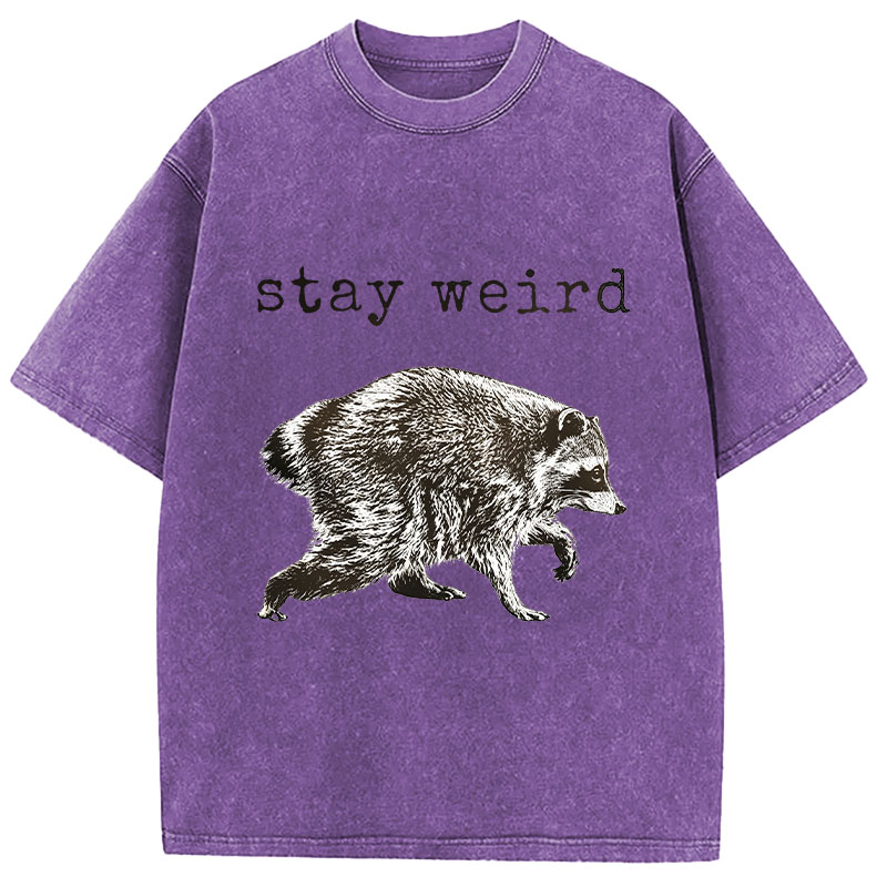 Tokyocanvas Stay Weird Funny Washed T-Shirt