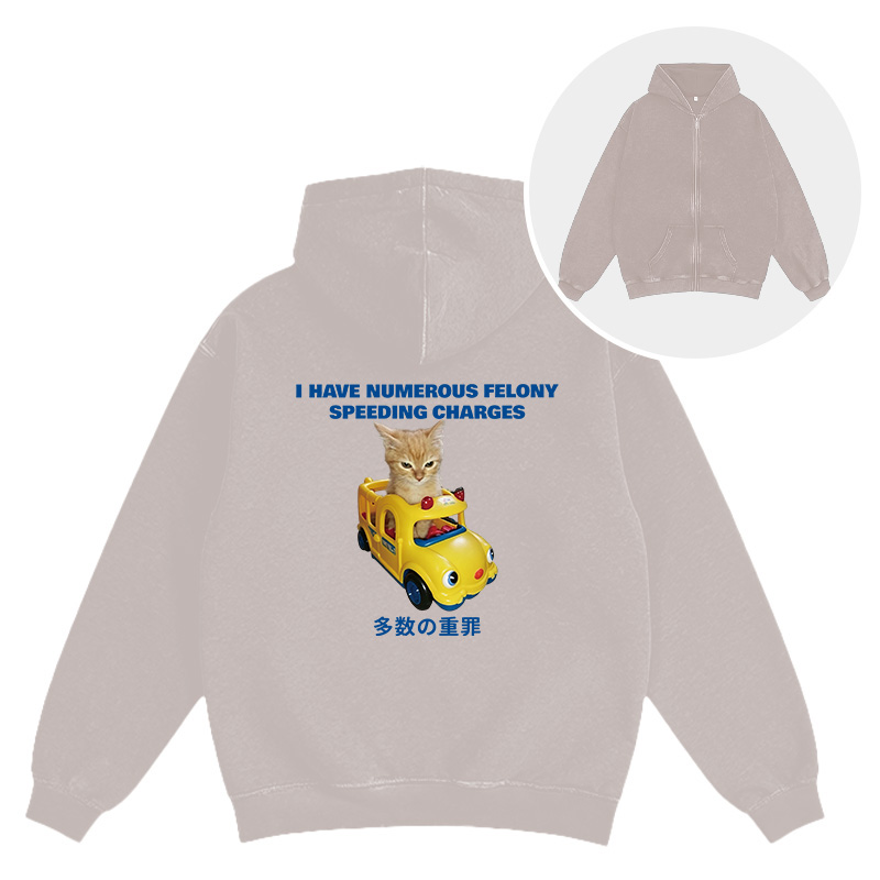 Tokyocanvas I Have Numerous Felonies For Speeding Washed Zip Hoodie