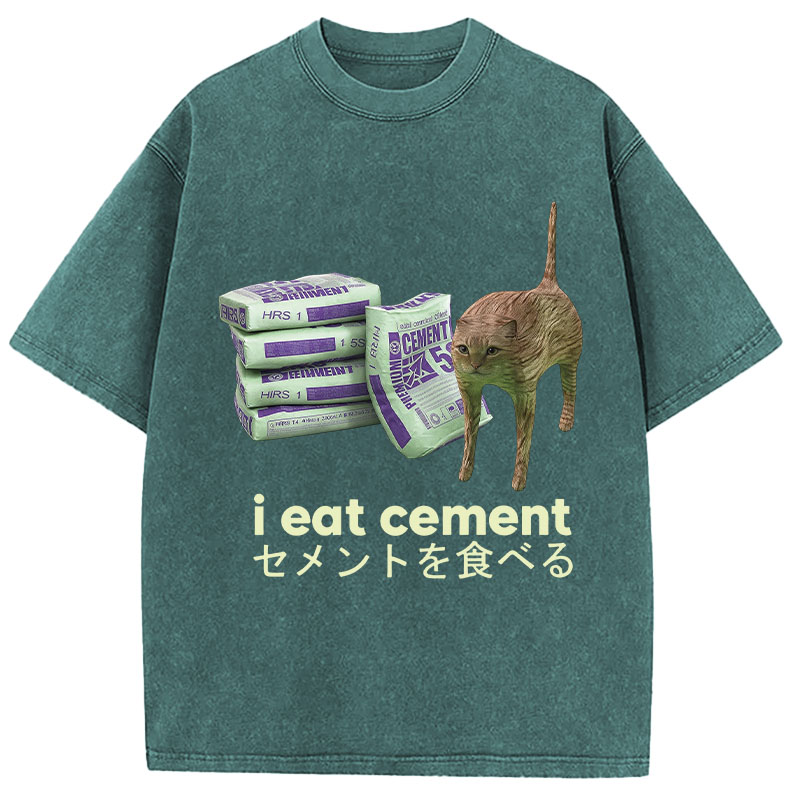Tokyocanvas Funny Internet Cement Cat Washed T-Shirt