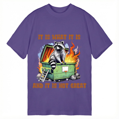 Tokyocanvas It is What Not Great Raccoon Meme Classic T-Shirt