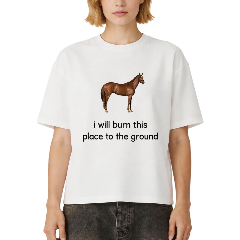 Tokyocanvas I Will Burn This Place To The Ground Boxy T-shirt