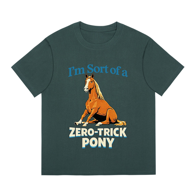 Tokyocanvas Zero Trick Pony Boxy T-Shirt