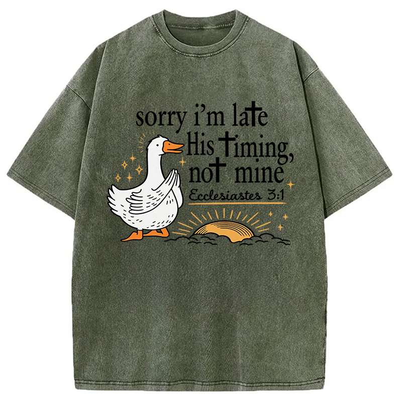 Tokyocanvas His Timing Not Mine Goose Washed T-Shirt