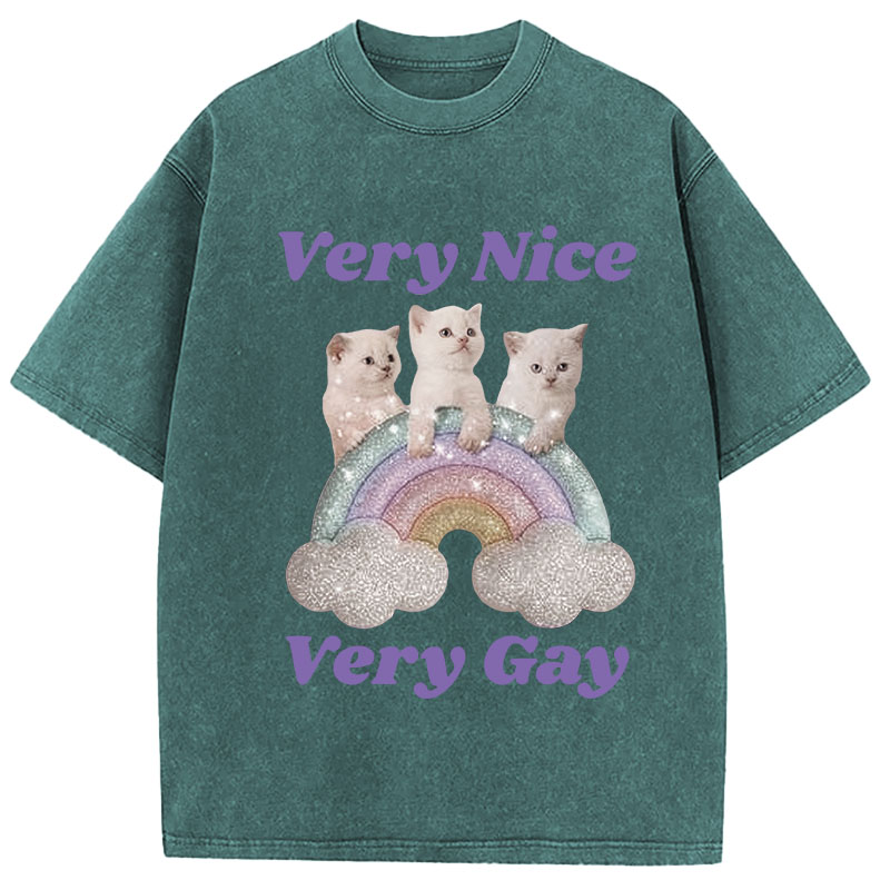 Tokyocanvas Very Nice Very Gay Washed T-Shirt