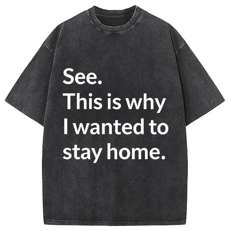 Tokyocanvas Why I Wanted To Stay Home Washed T-Shirt
