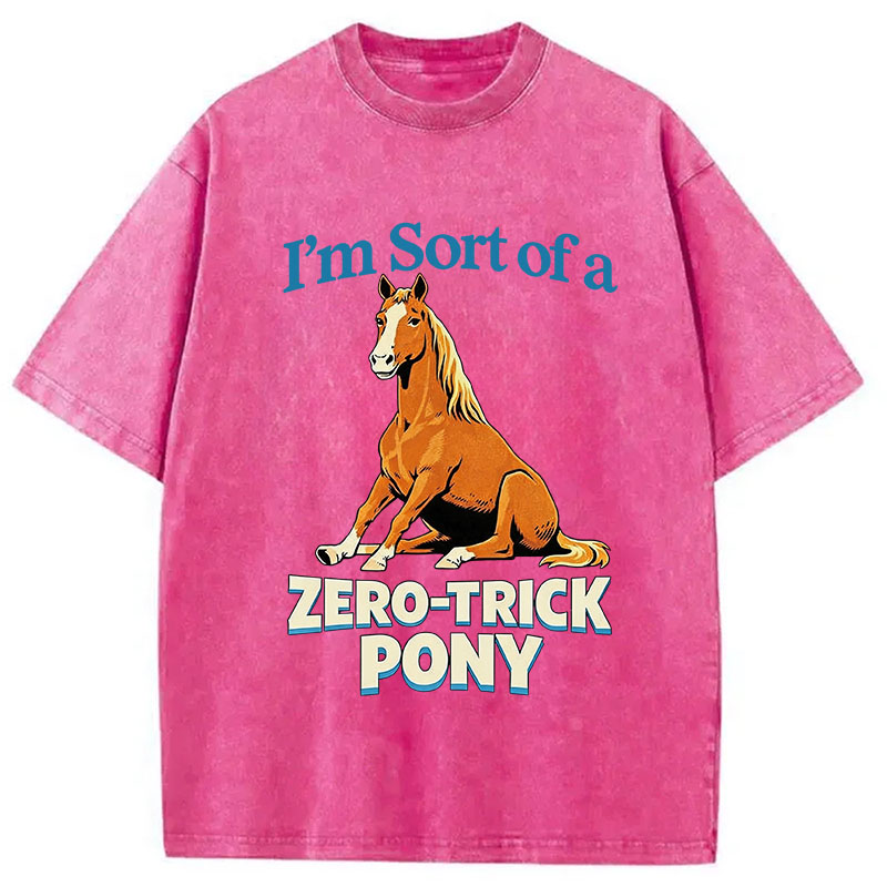 Tokyocanvas Zero Trick Pony Washed T-Shirt