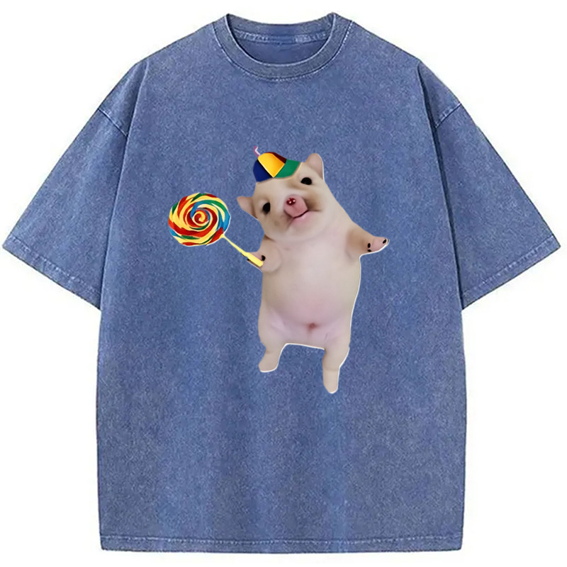 Tokyocanvas Funny Silly Dog with Lollipop Meme Washed T-Shirt