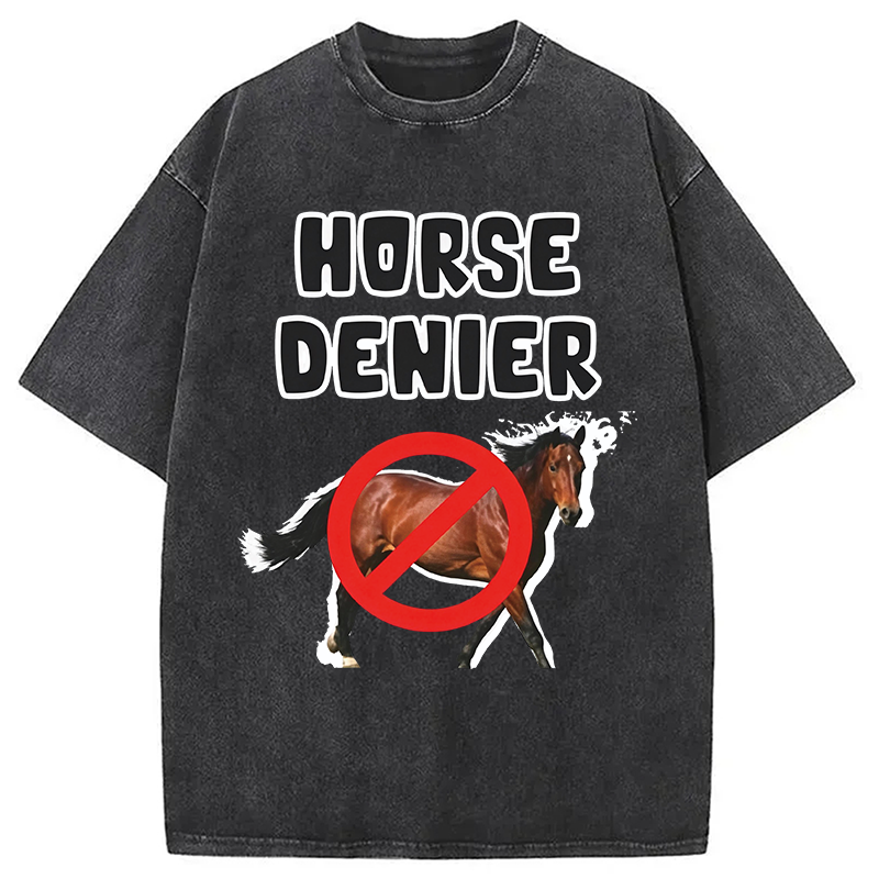 Tokyocanvas Horse Denier Funny Meme Washed T-Shirt