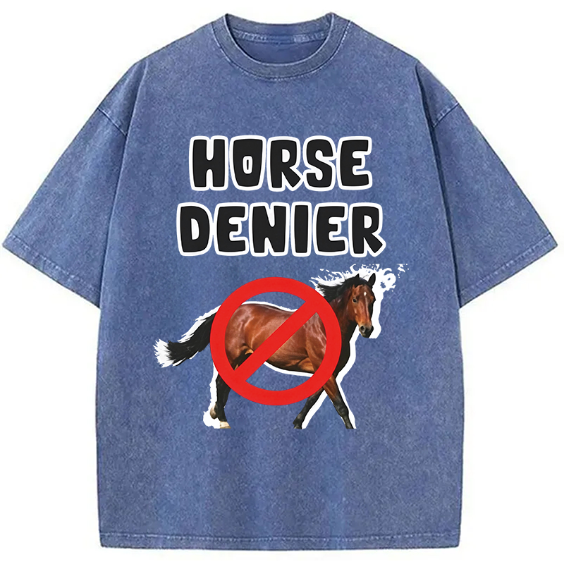 Tokyocanvas Horse Denier Funny Meme Washed T-Shirt