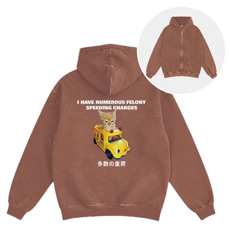 Tokyocanvas I Have Numerous Felonies For Speeding Washed Zip Hoodie