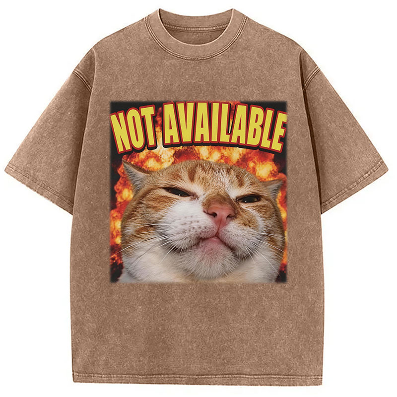 Tokyocanvas Not Available Cat Meme Washed T-Shirt