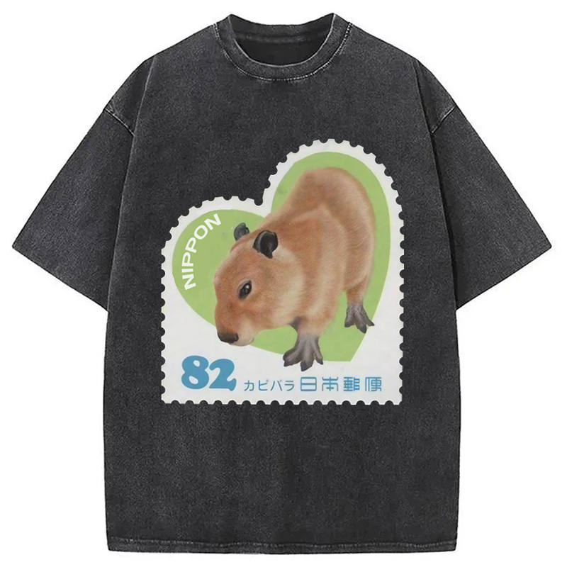 Tokyocanvas Japanese Capybara Washed T-Shirt