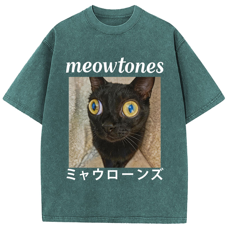 Tokyocanvas Meowlones Washed T-Shirt
