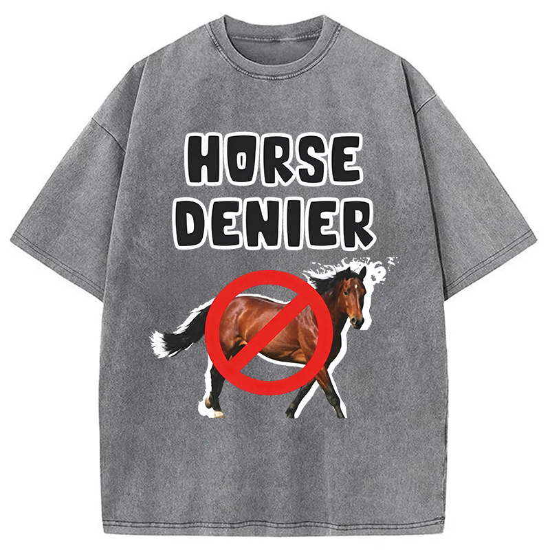 Tokyocanvas Horse Denier Funny Meme Washed T-Shirt