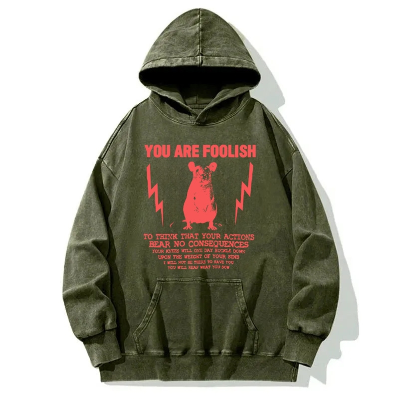 Tokyocanvas You Are Foolish Rat Meme Washed Hoodie