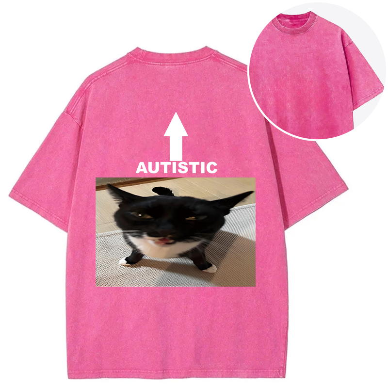 Tokyocanvas Autistic Cat Back Washed T-Shirt