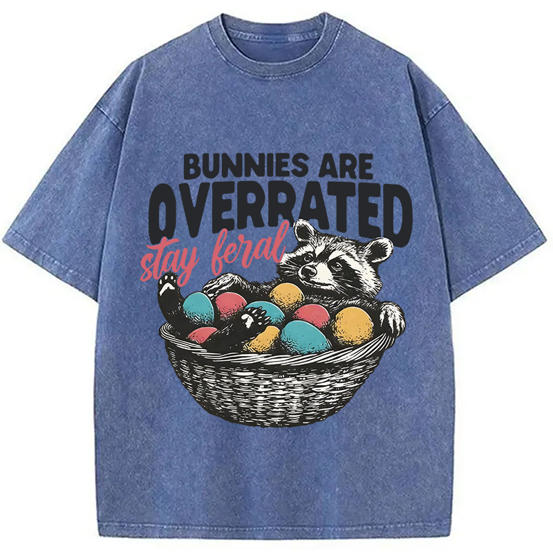 Tokyocanvas Funny Easter Raccoon Washed T-Shirt