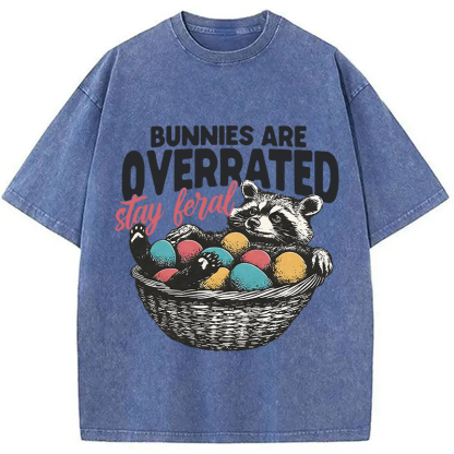 Tokyocanvas Funny Easter Raccoon Washed T-Shirt