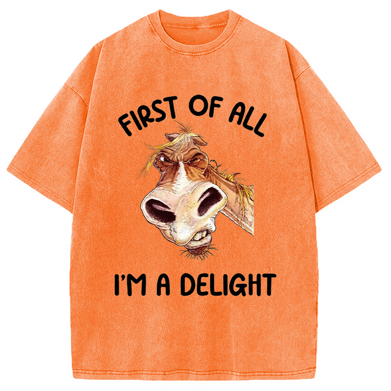 Tokyocanvas First of All I'm a Delight Horse Washed T-Shirt